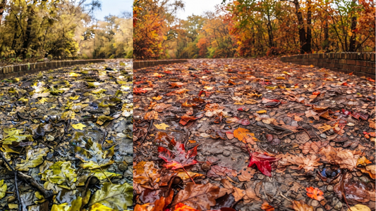 Pixel to Product Vol. 2 - "Put Me In Fall"
